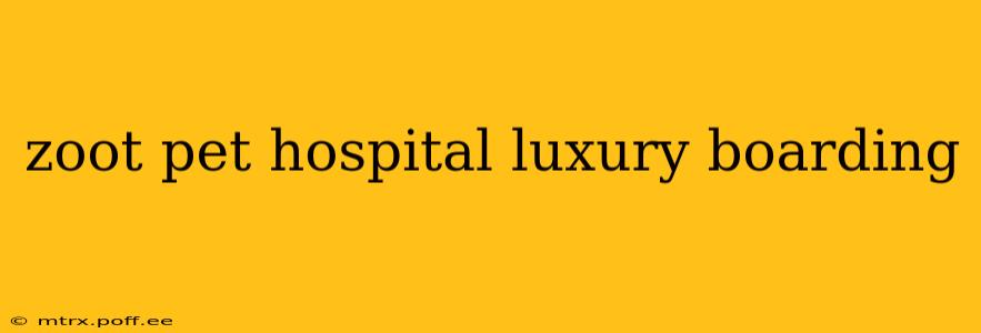 zoot pet hospital luxury boarding